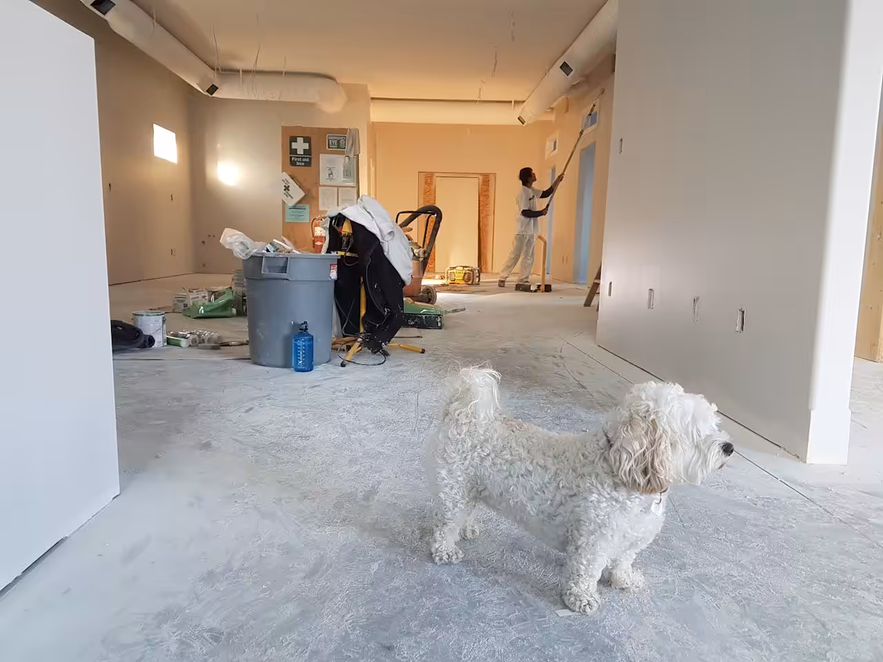 Professionell målare i Stockholm och Järfälla – måleriarbete med hög kvalitet